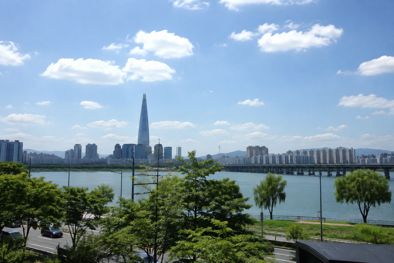 Seoul Summer Survival3