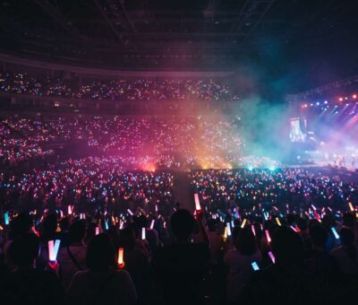 Fans holding glowing light sticks at a K-pop concert